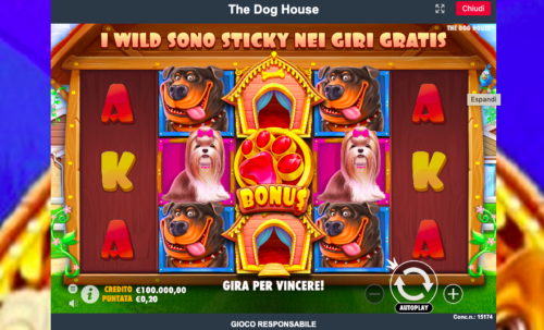 Slot online, su PinterBet vincita da 16 mila euro in provincia di Messina con “The Dog House”