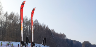 Sci Alpino: la Coppa del Mondo a Federica Brignone a 7.00 su StarYes Sci Alpino Antepost Staryes
