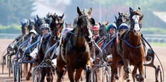 Scommesse, nell’unico tabaccaio del paesino gioca 5 cavalli e centra una vincita da sogno: 725.000 euro