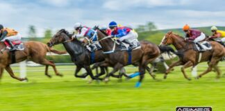 Ippica, Gran Premio di Firenze: su BetFlag First of Mind favorito Corse cavalli ippica