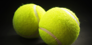 ATP Stoccolma, derby italiano tra Berrettini e Zeppieri: Matteo favorito