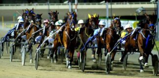 Betflag, Freyr e Frankie Lj ad alta energia nel Gran Premio di Cesena