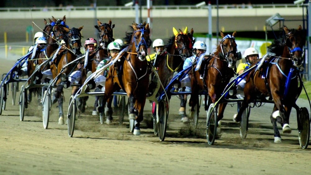 Betflag, Freyr e Frankie Lj ad alta energia nel Gran Premio di Cesena