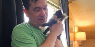 Lotterie: salva gattino intrappolato, mentre lo porta a casa compra un biglietto e centra la vincita che gli cambia la vita