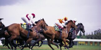 Scommesse ippiche BetFlag, Akela Pal Ferm la favorita del Gran Premio Locatelli