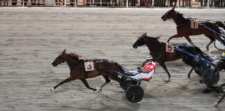 Betflag, a colpi di… Spritz: a Cesena va in scena il Gran Premio Grassi