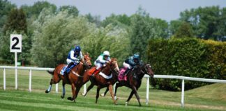 Scommesse ippiche BetFlag, Ector Francis il favorito del Gran Premio Andreani a 1,8. Ete Jet e Everything Bi le principali alternative