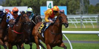 Scommesse ippiche: BetFlag, Achille Blv favorito ma non troppo nel Città di Treviso