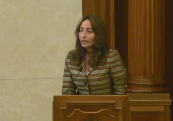 Antonella Galdi, Vice-Segretario Generale ANCI, MembroAdvisory Board Progetto RicercaSettoredel Gioco