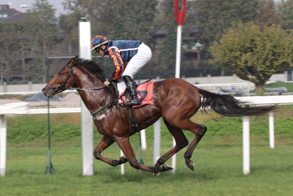 CORSA1_PREMIO ECLIPSE 2003 | AGIMEG