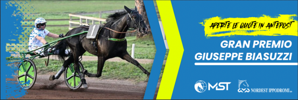 grafica antepost GP Biasuzzi | AGIMEG