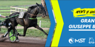 Ippica, Gran Premio Giuseppe Biasuzzi: MST apre le quote antepost