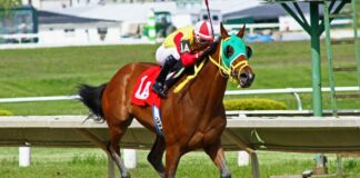 Ippica, Gran Premio Memorial Giuseppe Biasuzzi: su BetFlag il favorito è Executiv Ek