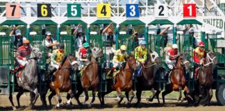 Scommesse ippica: accoppiata e trio a quota fissa, le nuove frontiere del betting su MST Ippica
