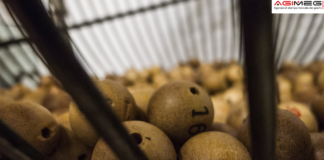 10eLotto: in Sardegna centrata la vincita più alta delle estrazioni del weekend