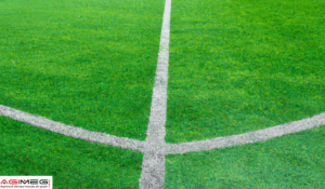 calcio | AGIMEG quota scommesse calcio