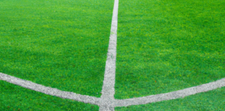 Scudetto 2024/25, la Juve si avvicina all’Inter. Il titolo a 5.00 su Betaland quota scommesse calcio