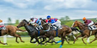 Ippica, Gran Premio del Mediterraneo a Palermo: Freyr di Venere favorito a 2.25 su Betflag, Frankie Bar l’alternativa