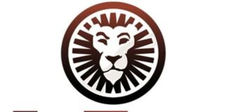 Slot online: super vincita a Varese. Su Leovegas.it, con un respin da 60 centesimi, un fortunato 50enne si è portato a casa quasi 250.000 euro Leovegas