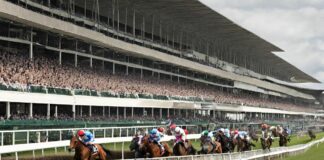 Betflag, Giotto Grif cerca il bis nel Gran Premio Marche Ippica ippodromo scommesse