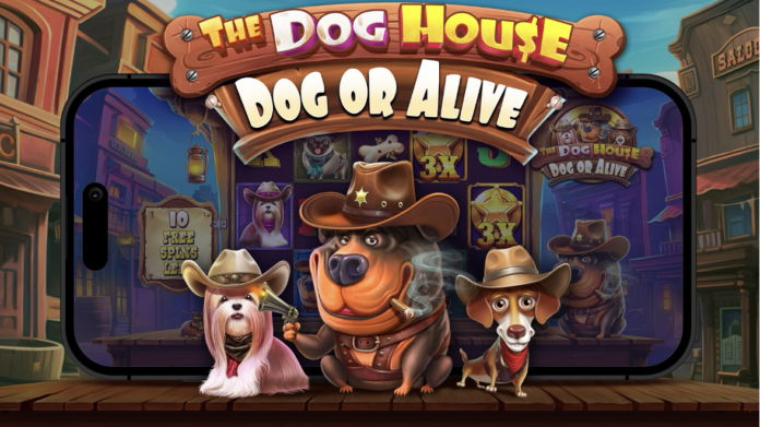 Pragmatic The Dog House