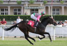 Ippica, Ippodromo Snai San Siro: mercoledì di galoppo, sei prove con in evidenza il premio Campanologist e il premio Schiapparelli Ippodromo Snai San Siro Galoppo