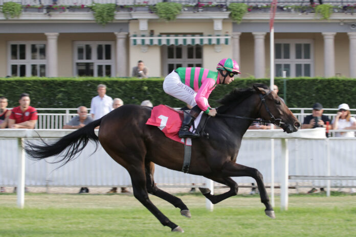 Ippodromo Snai San Siro Galoppo Ippodromo Snai San Siro Galoppo