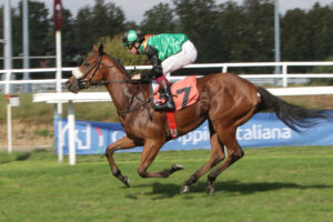 Ippodromo Snai San Siro | AGIMEG Ippodromo Snai San Siro