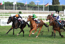 ippica capannelle