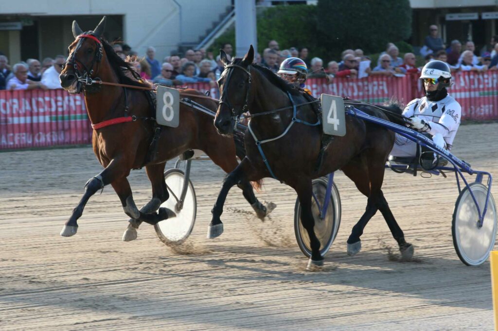 ippodromo bologna arcoveggio