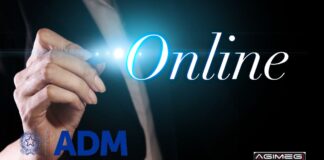 Bando di gara gioco online