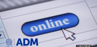Bando di gara gioco online