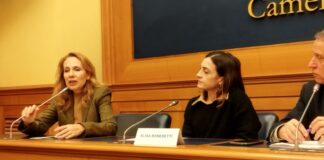 Scala (Moige): “Il gioco sano è utile per lo sviluppo dei più piccoli, ma deve avvenire in luoghi sicuri” Elisabetta Scala