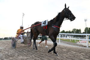 TROTTO IPPODROMO SNAI SAN SIRO MILANO | AGIMEG Ippodromo Snai