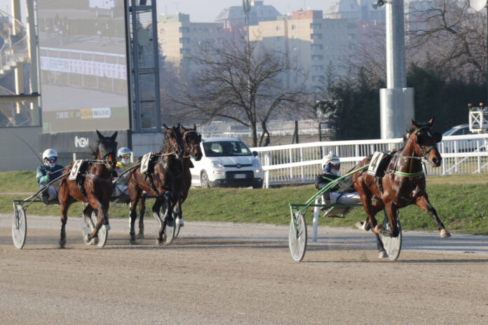 Corse Trotto Ippodromo Snai San Siro Milano Foto Dena