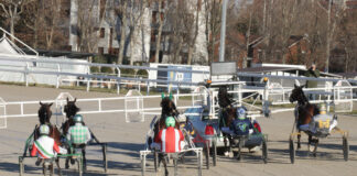 Ippodromo Snai San Siro: domenica al via la 14^ giornata di Trotto in attesa del super evento del 23 febbraio con il GP ENCAT Trotto Ippodromo Snai San Siro