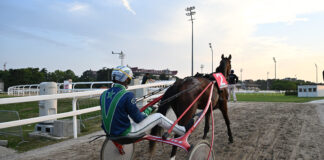 Ippodromo Snai Sesana, infrasettimanale del mercoledì con la giornata di trotto riservata ai “Gentlemen”