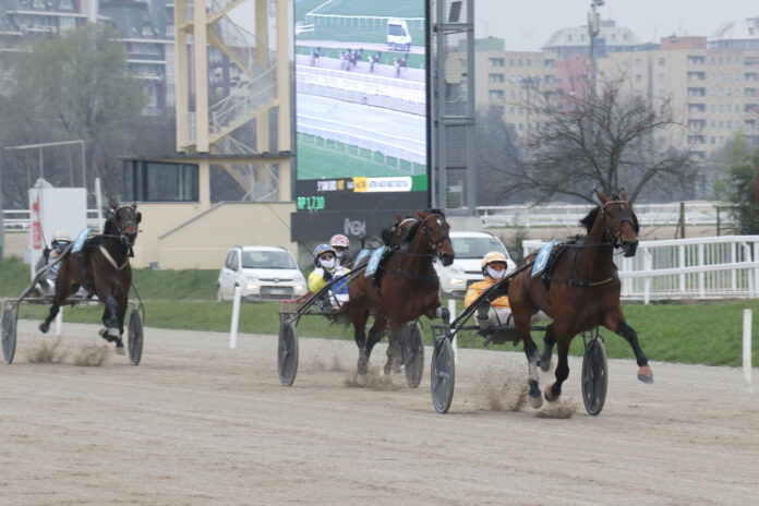 Trotto_Ippodromo Snai San Siro Milano_Foto Dena - Snaitech