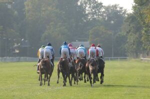 IPPODROMO SNAI SAN SIRO GALOPPO