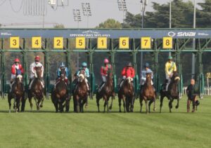 IPPODROMO SNAI SAN SIRO GALOPPO | AGIMEG IPPODROMO SNAI SAN SIRO GALOPPO