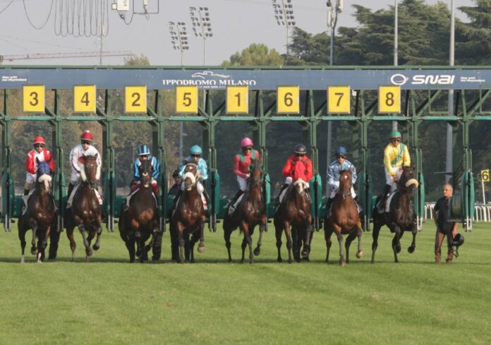 IPPODROMO SNAI SAN SIRO GALOPPO IPPODROMO SNAI SAN SIRO GALOPPO