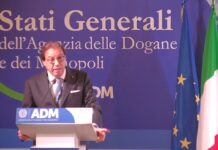 Maurizio Leo MEF