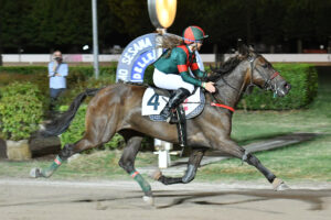 Corsa 2024 Sesana Premio Cavallo 2000 Trotto Montato - Foto Rosellini Montecatini Terme