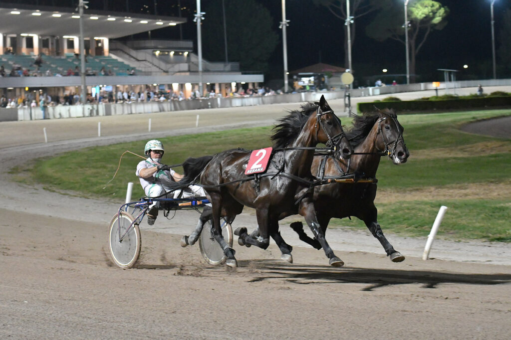 Corsa 2024 Sesana Premio La Nazione Pariglie -Foto Rosellini