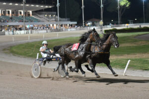Corsa 2024 Sesana Premio La Nazione Pariglie -Foto Rosellini