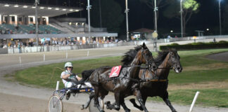 Ippodromo Snai Sesana, da sabato 2 agosto corse a pariglie e il trotto montato. Conto alla rovescia per il “Gran Premio Città di Montecatini” Corsa 2024 Sesana Premio La Nazione Pariglie -Foto Rosellini