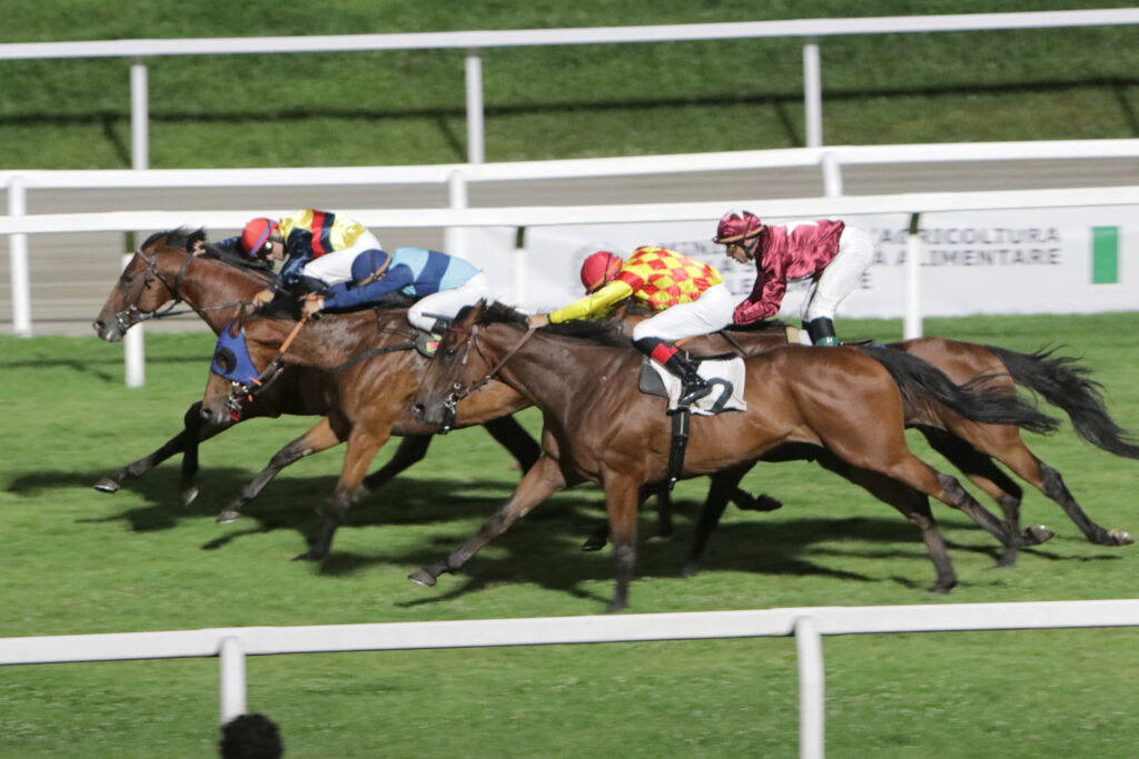 Ippodromo Snai San Siro premio Ernesto Redaelli