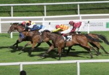 Ippodromo Snai San Siro premio Ernesto Redaelli