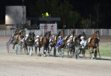 Ippodromo Snai Sesana