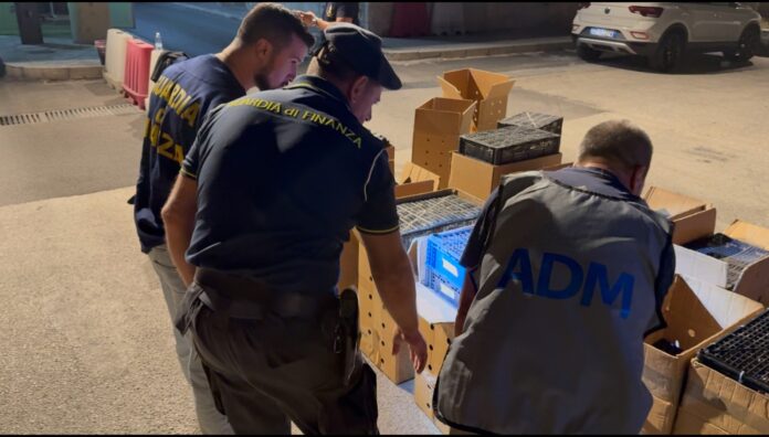 ADM GDF uccelli Pozzallo ADM GDF uccelli Pozzallo